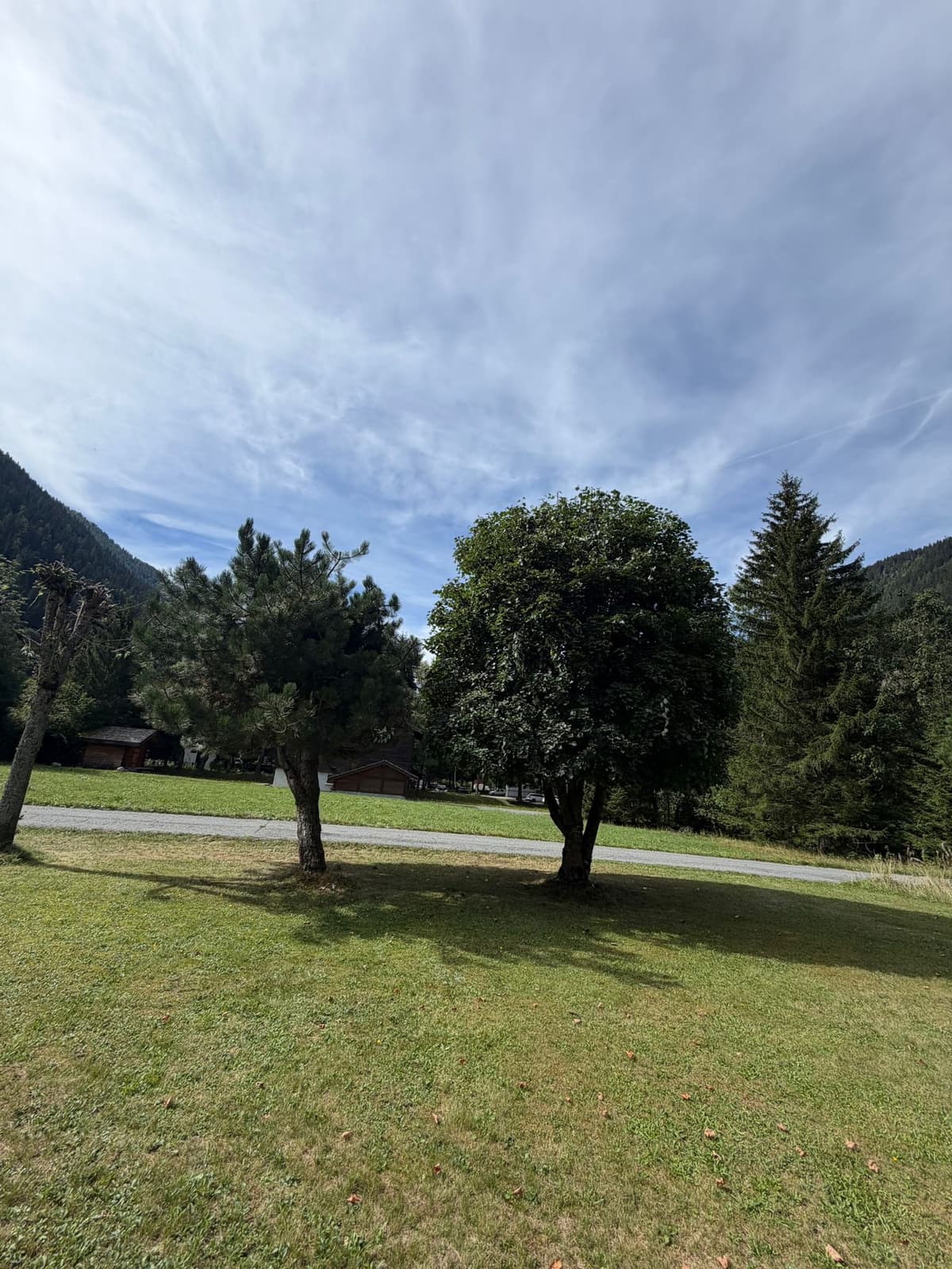 Chantier JM Élagage La Roche-sur-Foron — réalisation 7