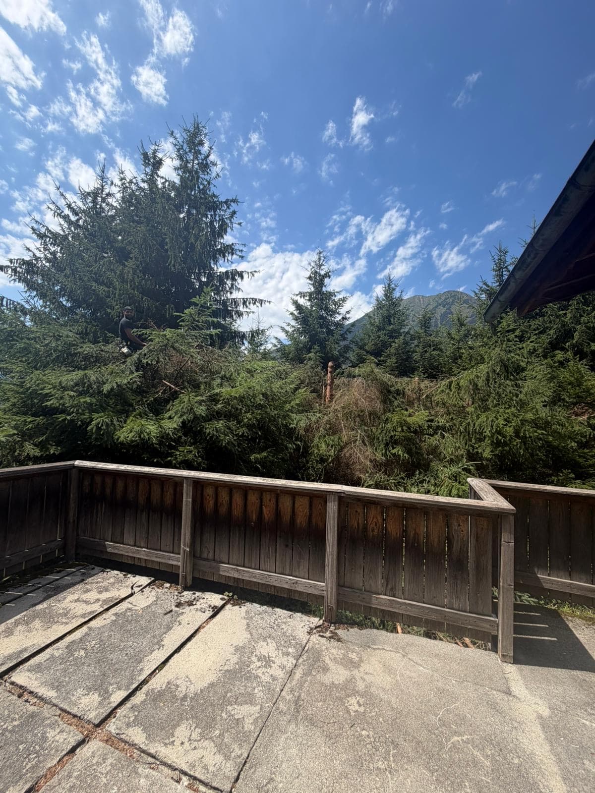 Chantier JM Élagage La Roche-sur-Foron — réalisation 5