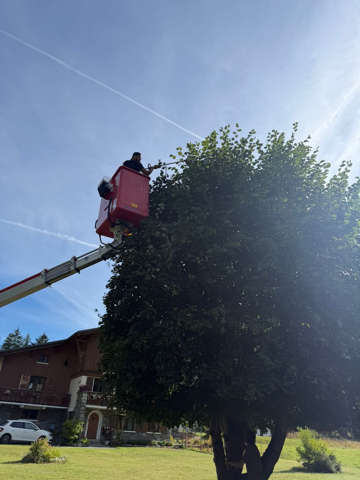 Chantier JM Élagage La Roche-sur-Foron — réalisation 3